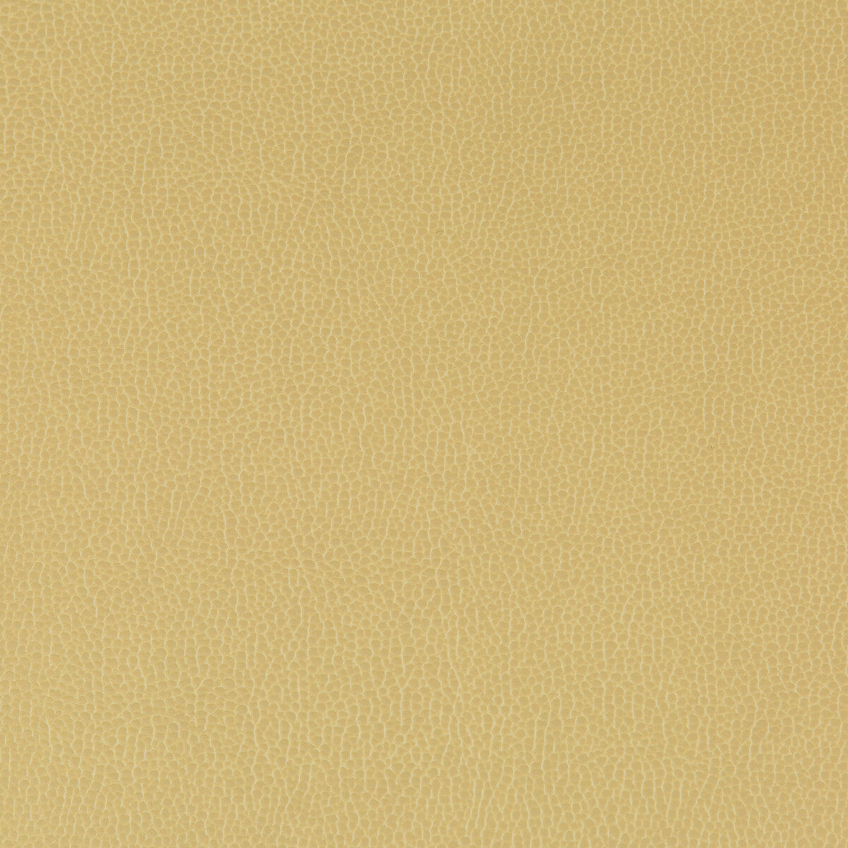 Lenox fabric in sesame color - pattern LENOX.23.0 - by Kravet Contract