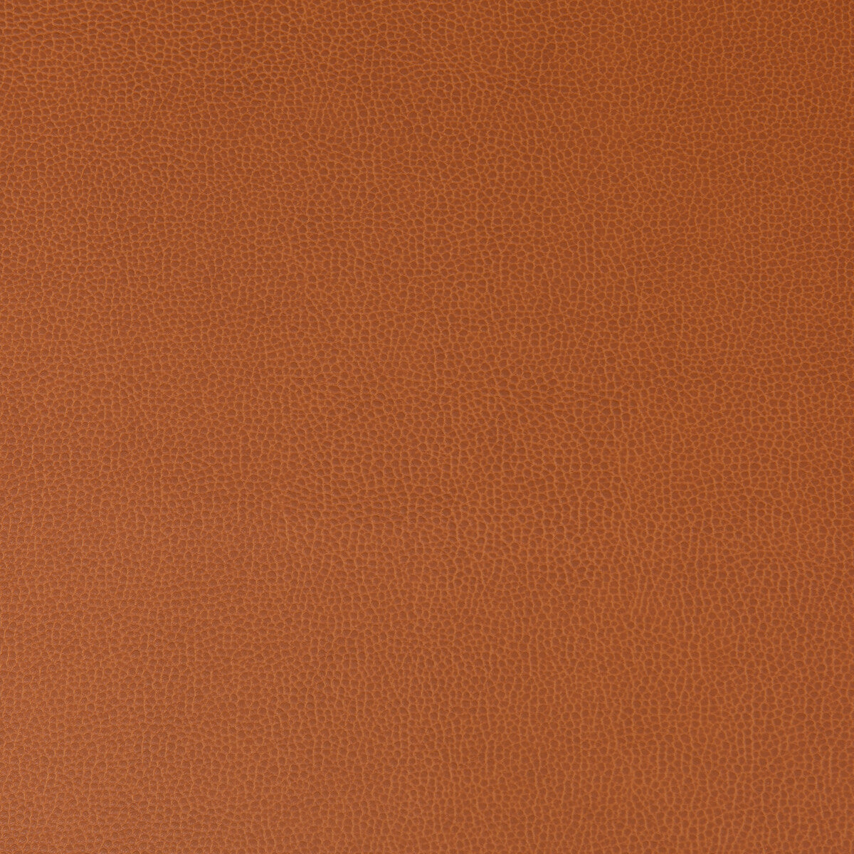 Lenox fabric in canyon color - pattern LENOX.24.0 - by Kravet Contract