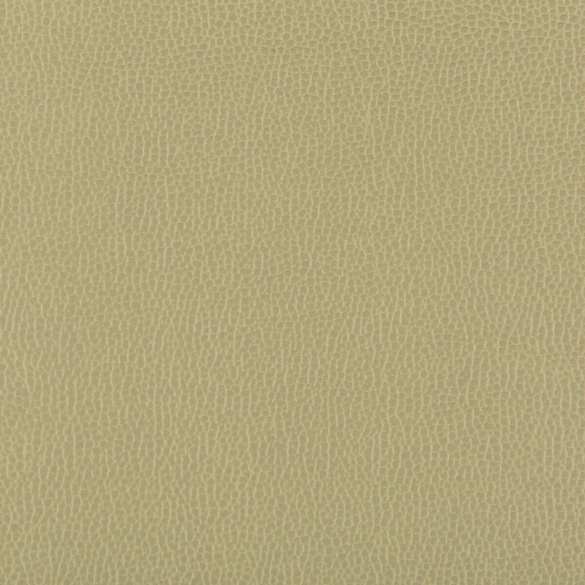 Lenox fabric in sage color - pattern LENOX.30.0 - by Kravet Contract