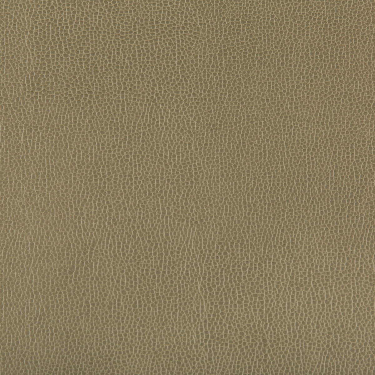 Lenox fabric in bayleaf color - pattern LENOX.303.0 - by Kravet Contract
