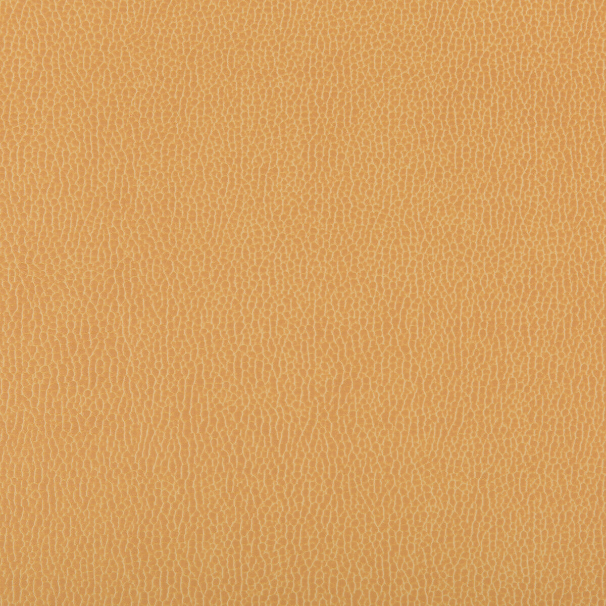 Lenox fabric in camel color - pattern LENOX.4.0 - by Kravet Contract