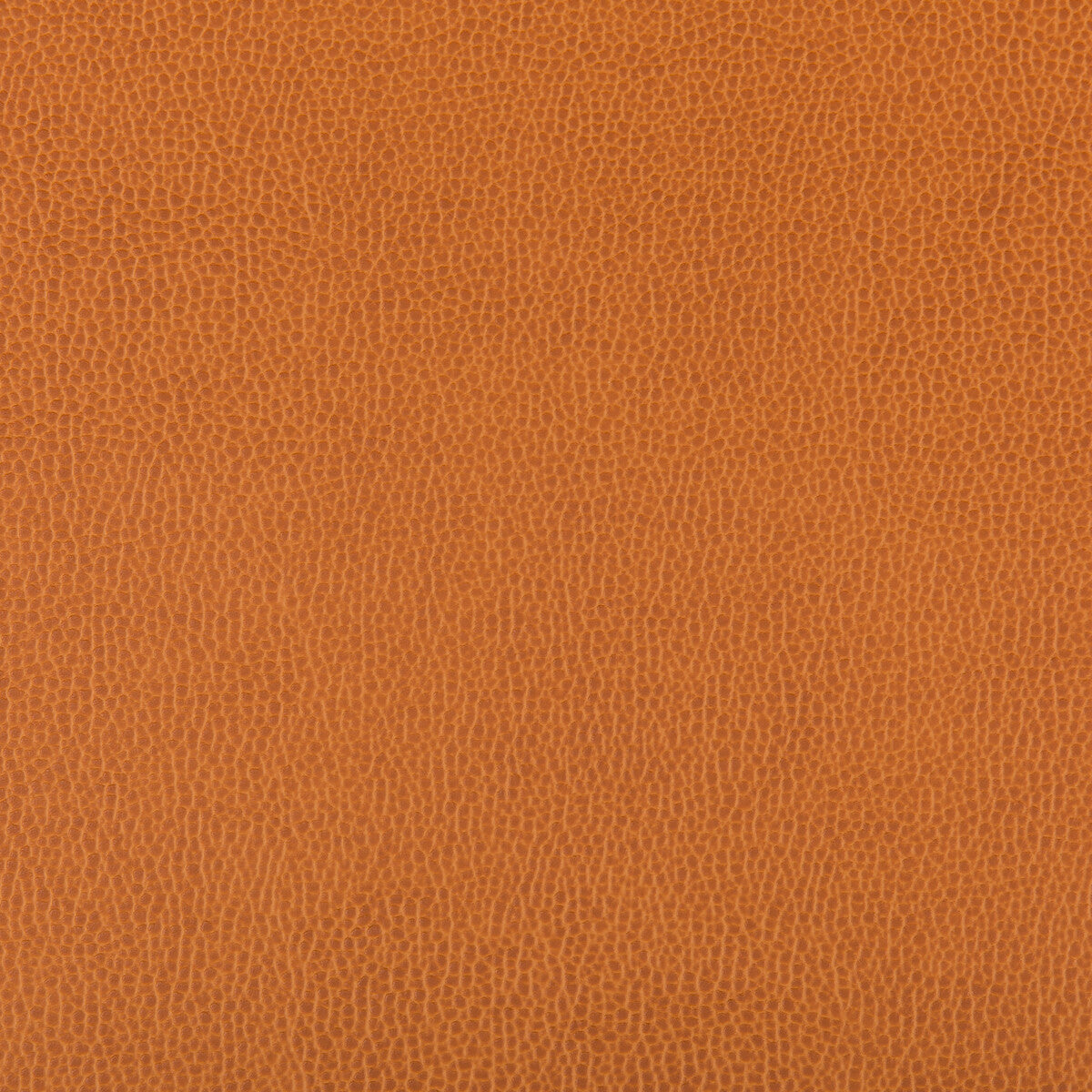 Lenox fabric in marmalade color - pattern LENOX.424.0 - by Kravet Contract