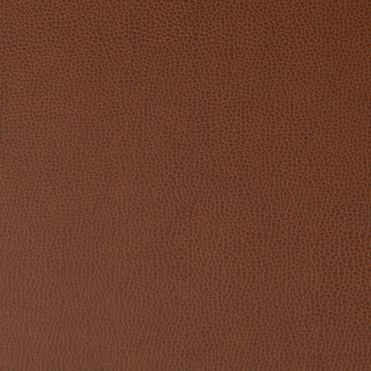 Lenox fabric in rootbeer color - pattern LENOX.6.0 - by Kravet Contract