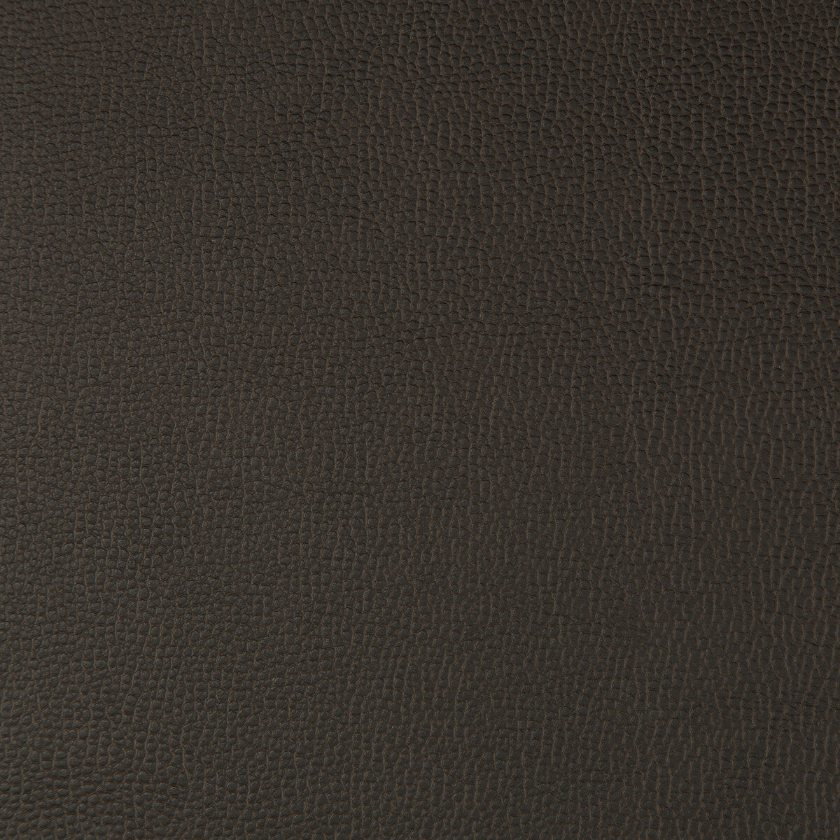 Lenox fabric in java color - pattern LENOX.66.0 - by Kravet Contract