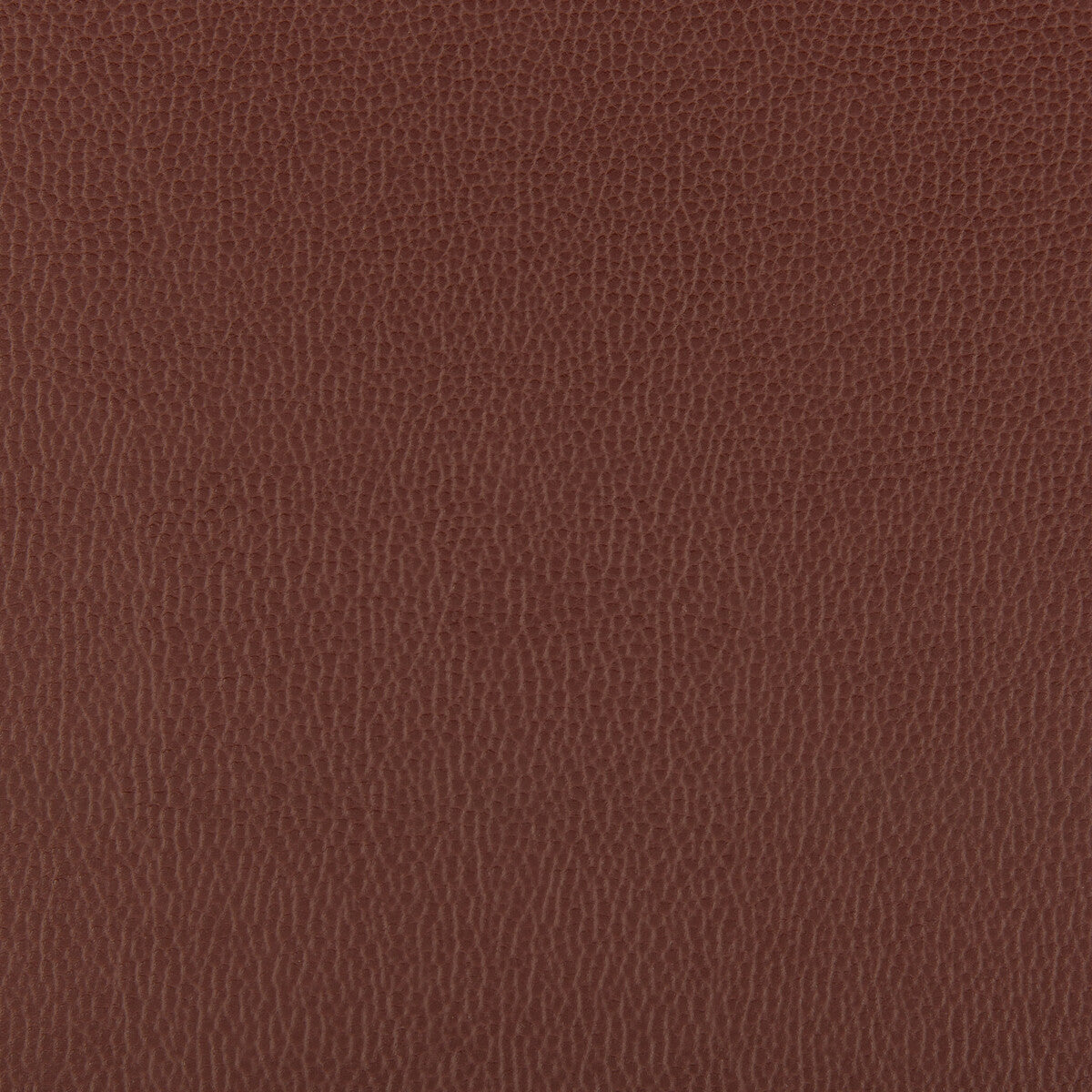 Lenox fabric in raisin color - pattern LENOX.96.0 - by Kravet Contract