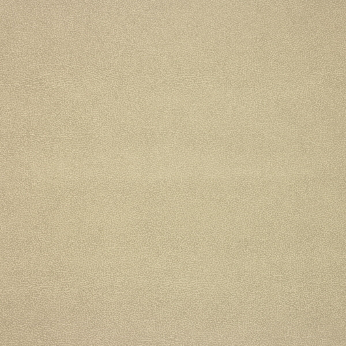 Kravet Design fabric in loris-106 color - pattern LORIS.106.0 - by Kravet Design