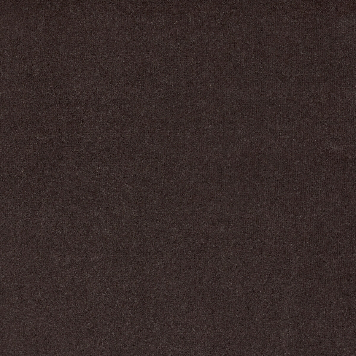 Eternal fabric in 1 color - pattern LZ-30219.01.0 - by Kravet Design in the Lizzo collection