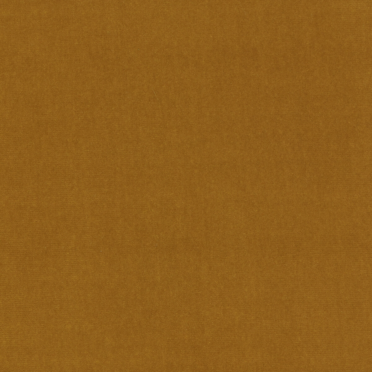 Eternal fabric in 5 color - pattern LZ-30219.05.0 - by Kravet Design in the Lizzo collection