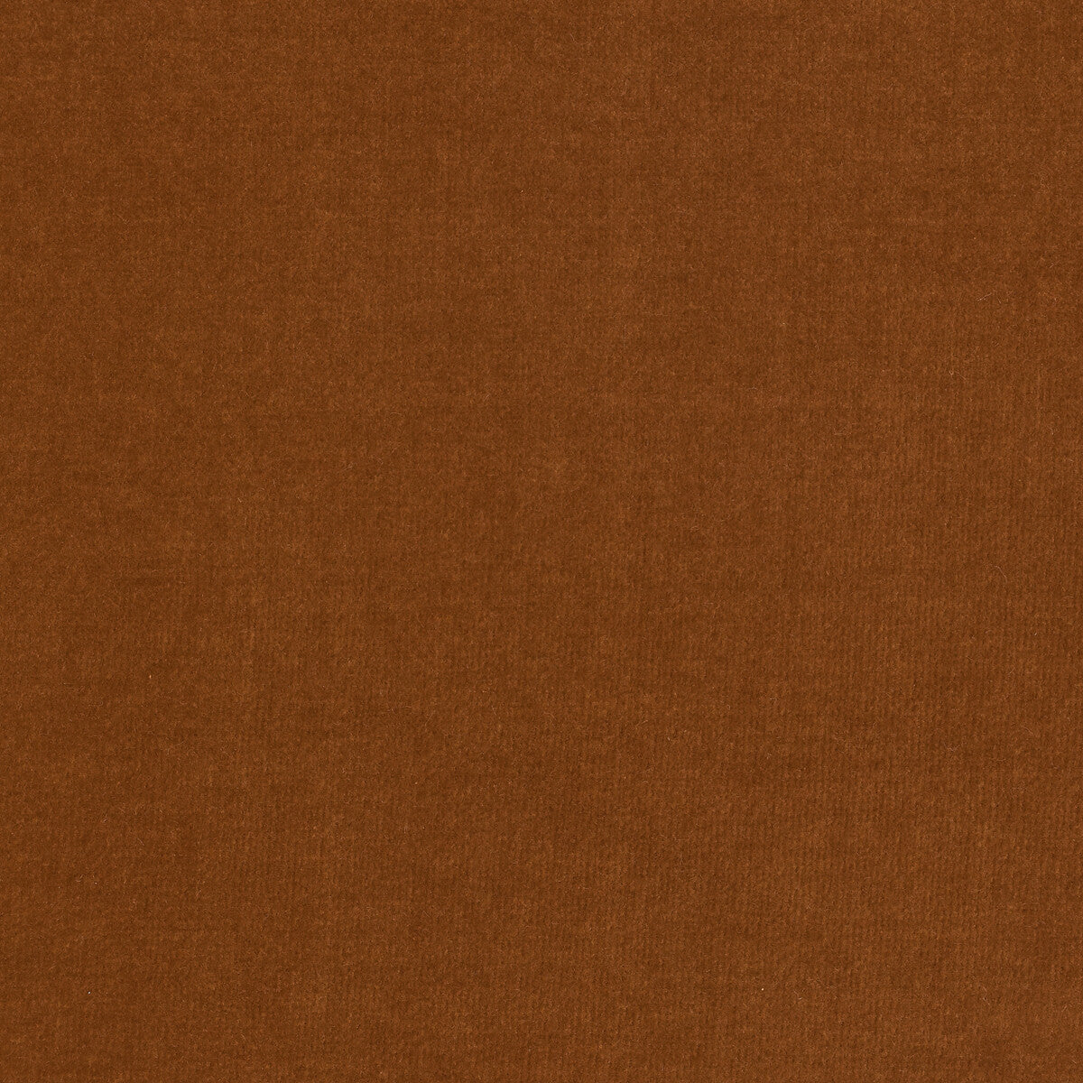 Eternal fabric in 8 color - pattern LZ-30219.08.0 - by Kravet Design in the Lizzo collection