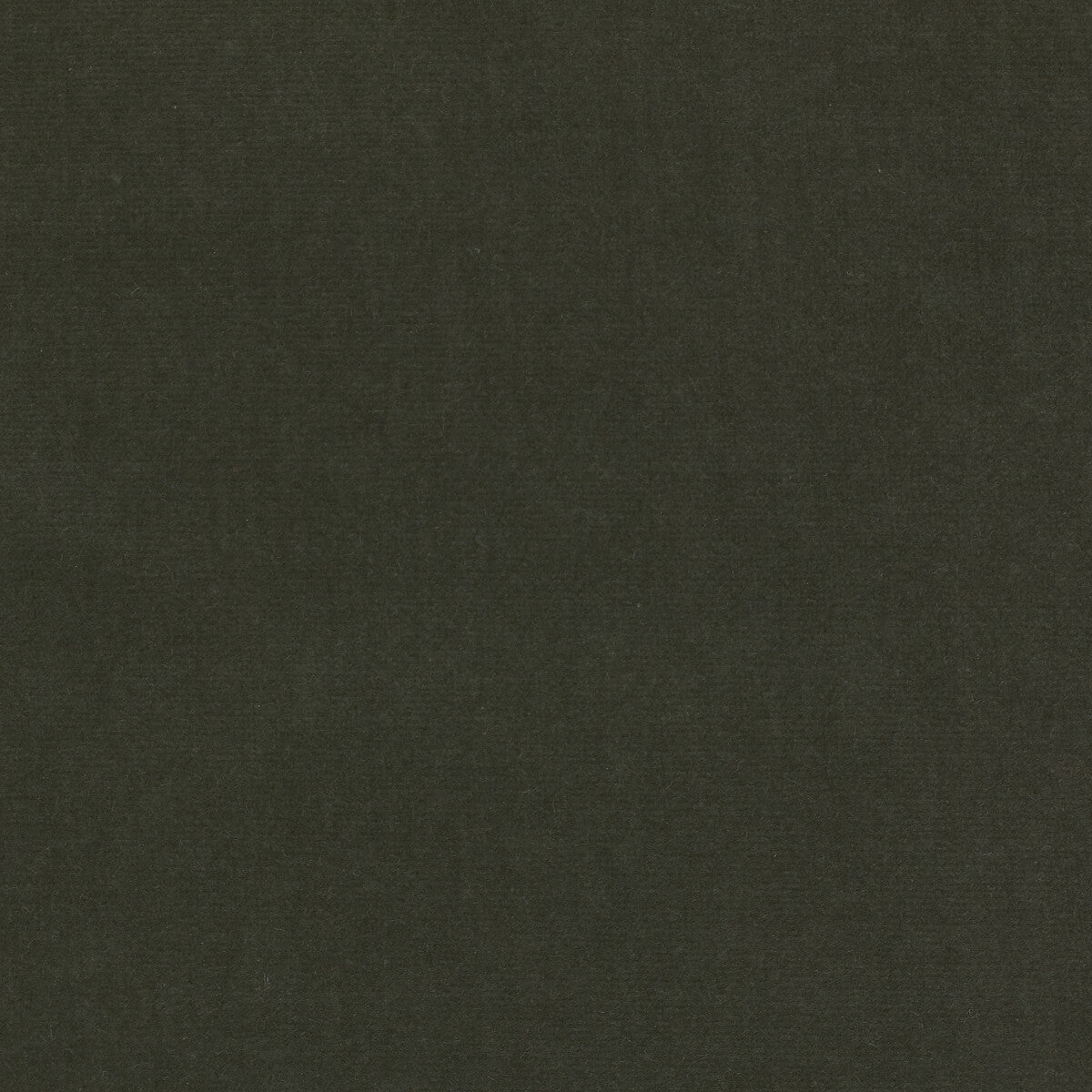 Eternal fabric in 29 color - pattern LZ-30219.29.0 - by Kravet Design in the Lizzo collection