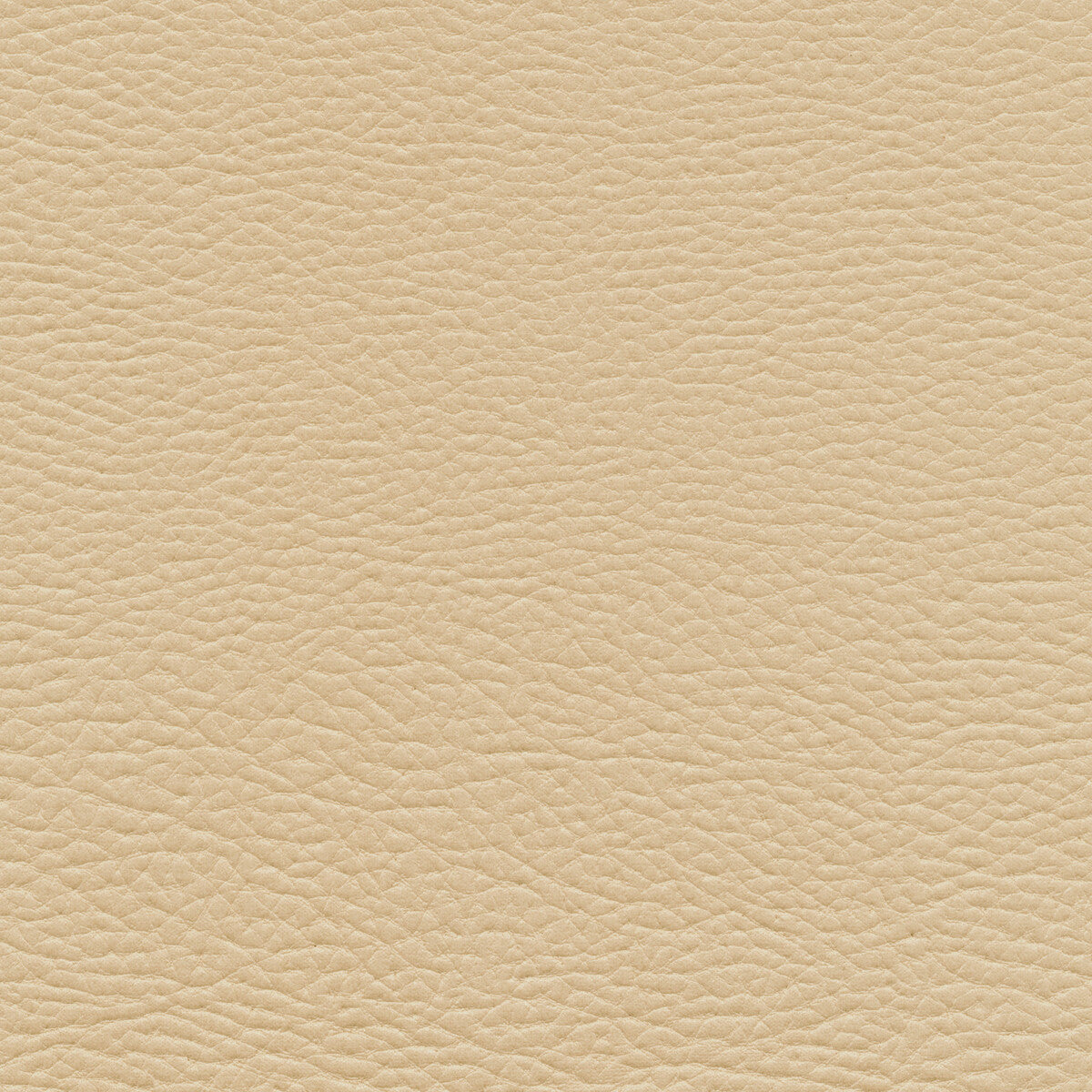 Mashak fabric in mashak-11 color - pattern number MASHAK.11.0 - by Kravet Design in the Faux Leather IV collection