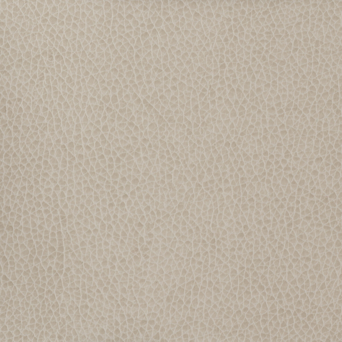 Kravet Basics fabric in matter-11 color - pattern MATTER.11.0 - by Kravet Basics