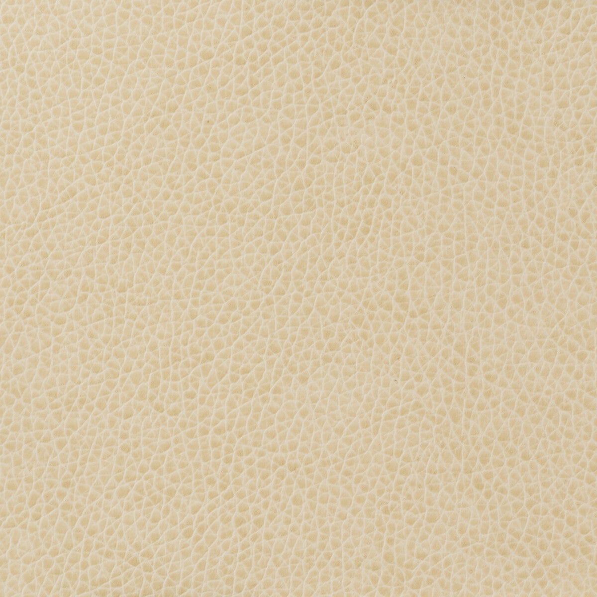 Kravet Basics fabric in matter-111 color - pattern MATTER.111.0 - by Kravet Basics