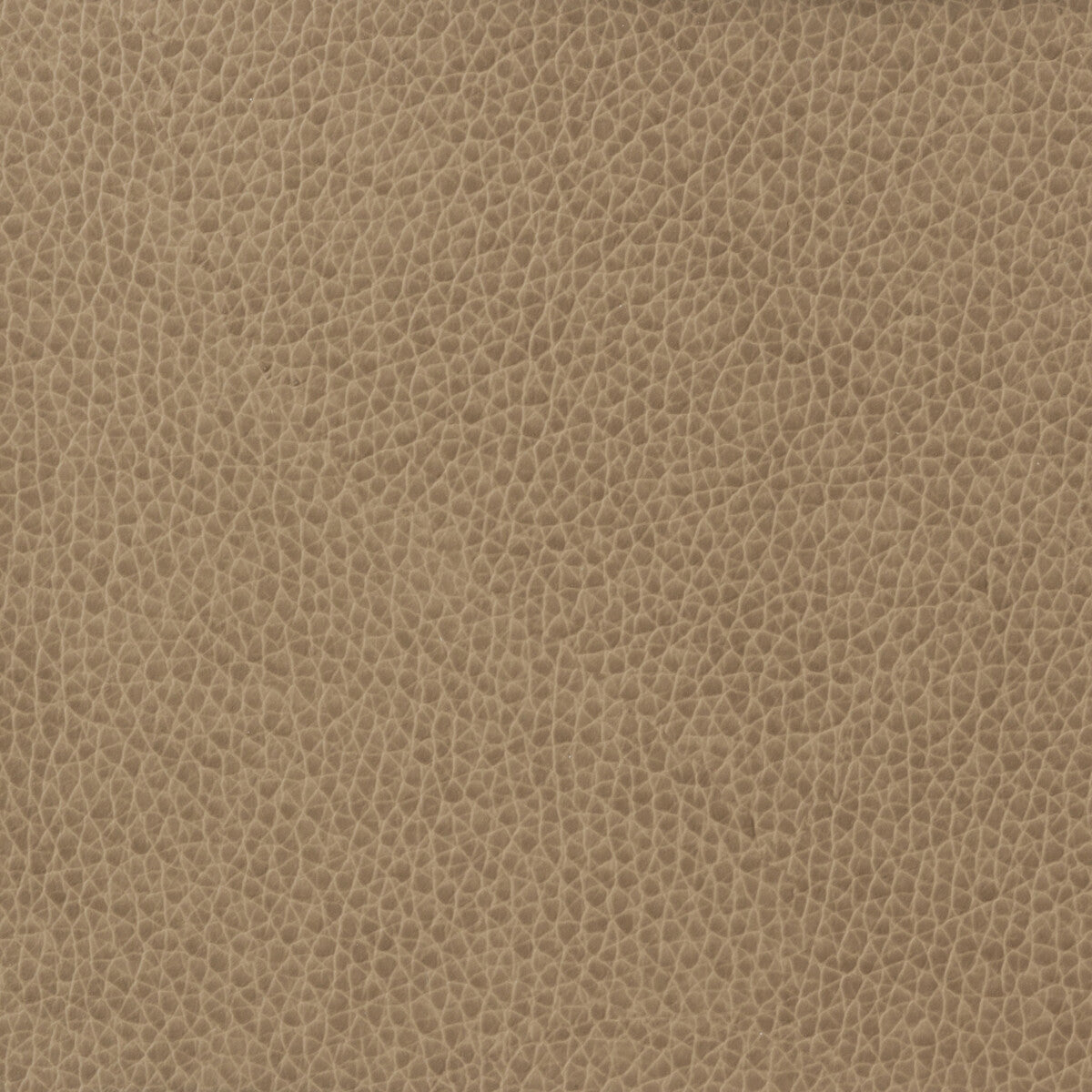 Kravet Basics fabric in matter-1611 color - pattern MATTER.1611.0 - by Kravet Basics