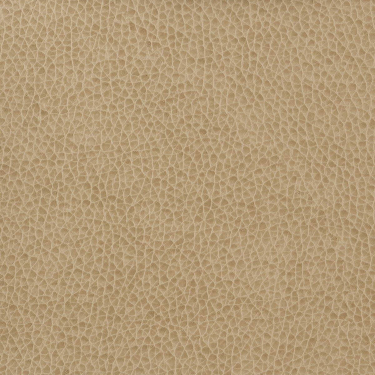 Kravet Basics fabric in matter-1616 color - pattern MATTER.1616.0 - by Kravet Basics