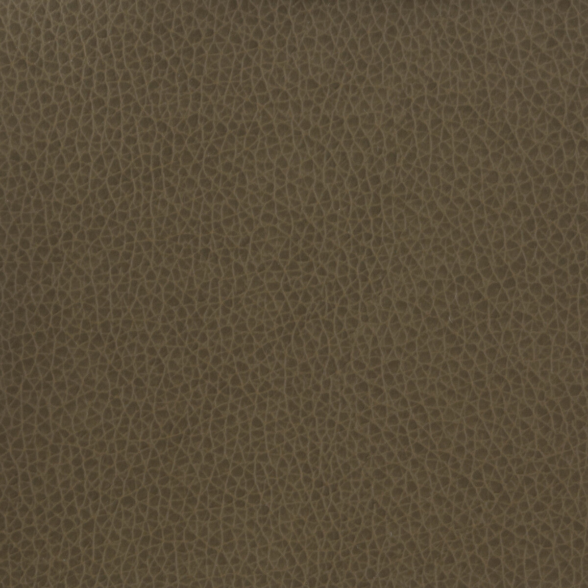 Kravet Basics fabric in matter-21 color - pattern MATTER.21.0 - by Kravet Basics