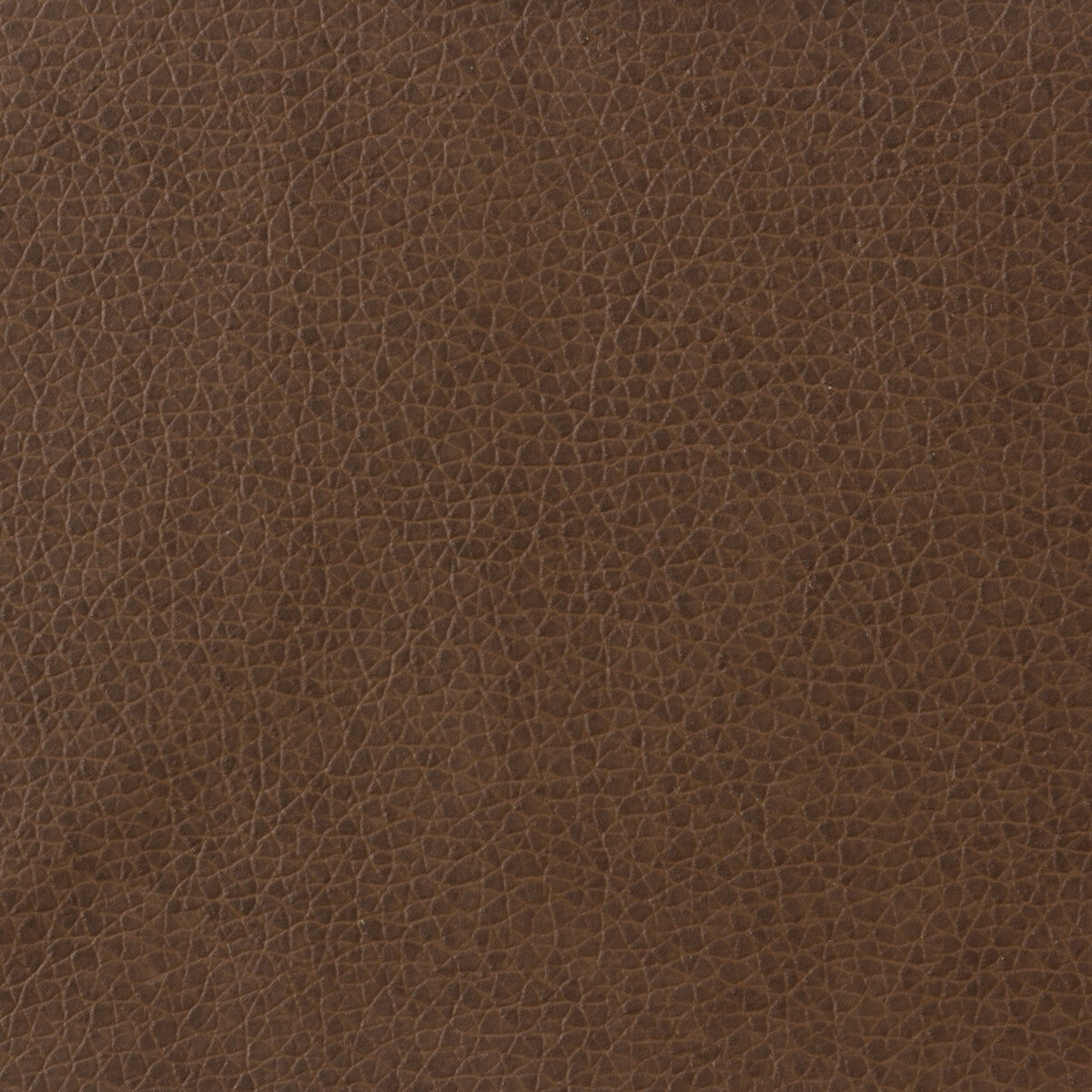 Kravet Basics fabric in matter-6 color - pattern MATTER.6.0 - by Kravet Basics