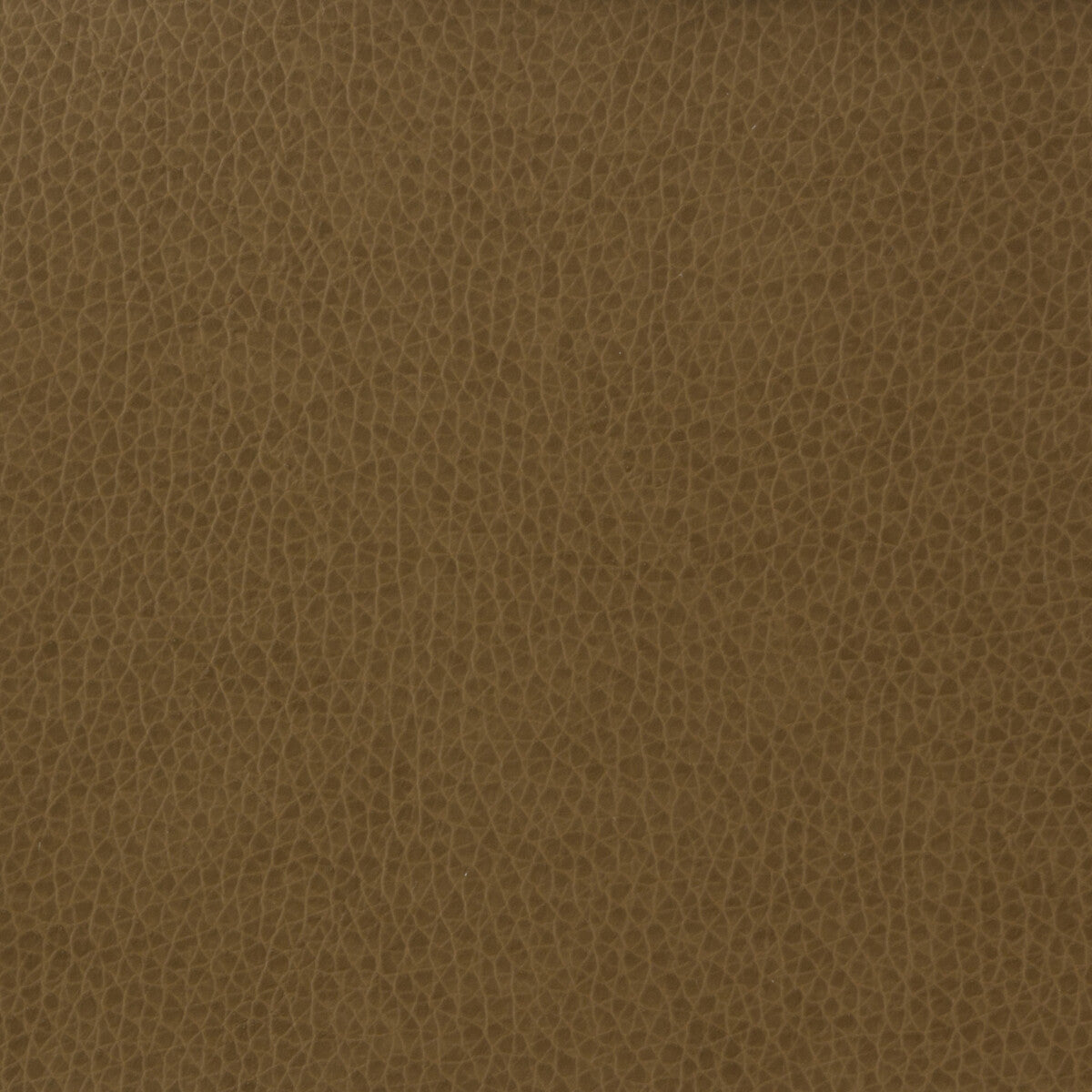 Kravet Basics fabric in matter-606 color - pattern MATTER.606.0 - by Kravet Basics