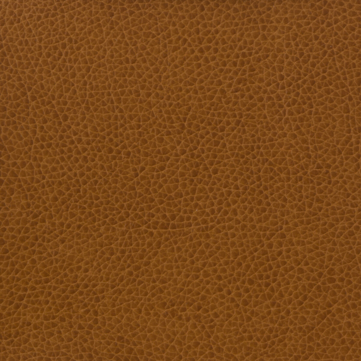 Kravet Basics fabric in matter-616 color - pattern MATTER.616.0 - by Kravet Basics