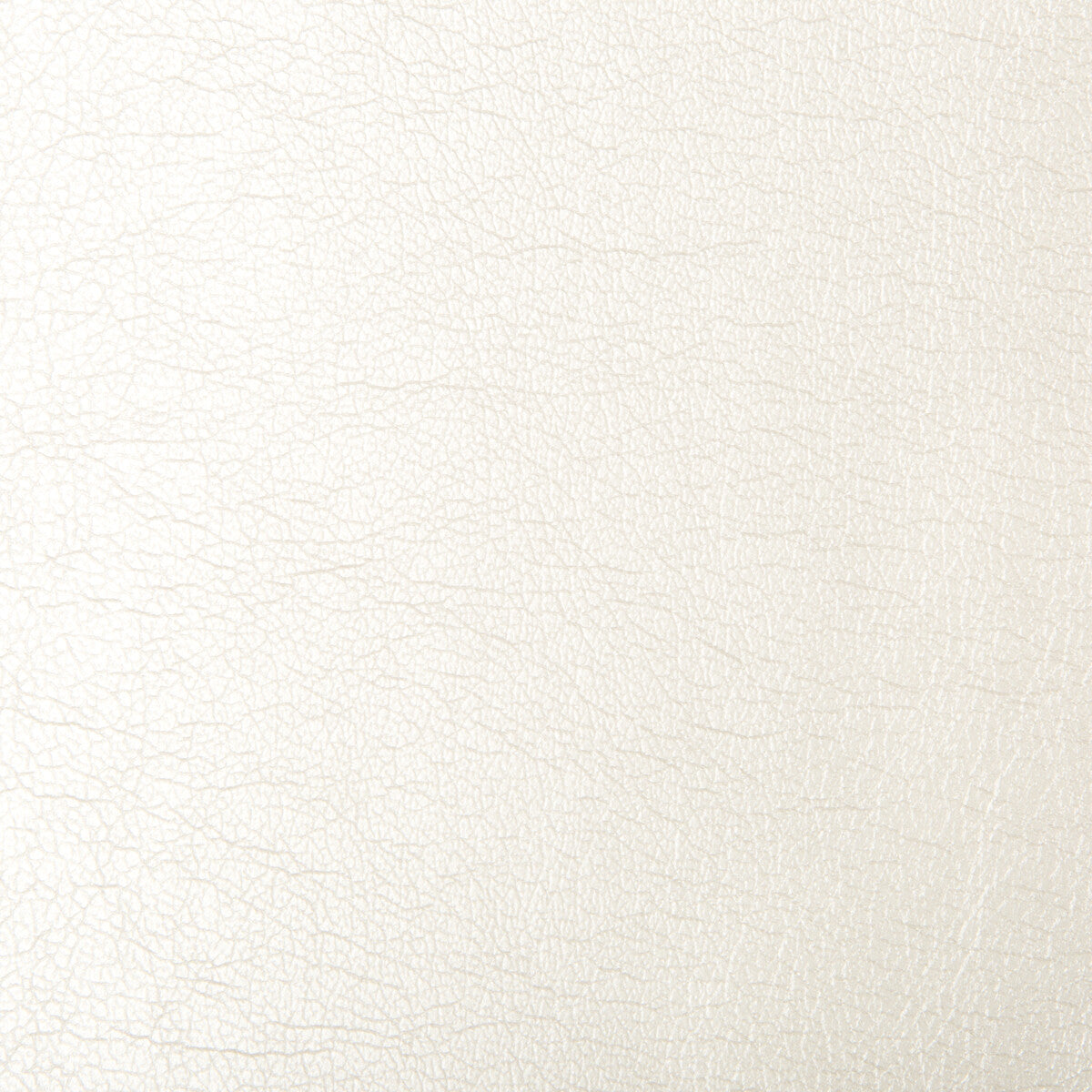 Maximo fabric in opal color - pattern MAXIMO.111.0 - by Kravet Contract