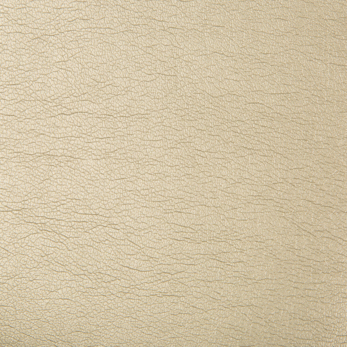 Maximo fabric in pewter color - pattern MAXIMO.16.0 - by Kravet Contract