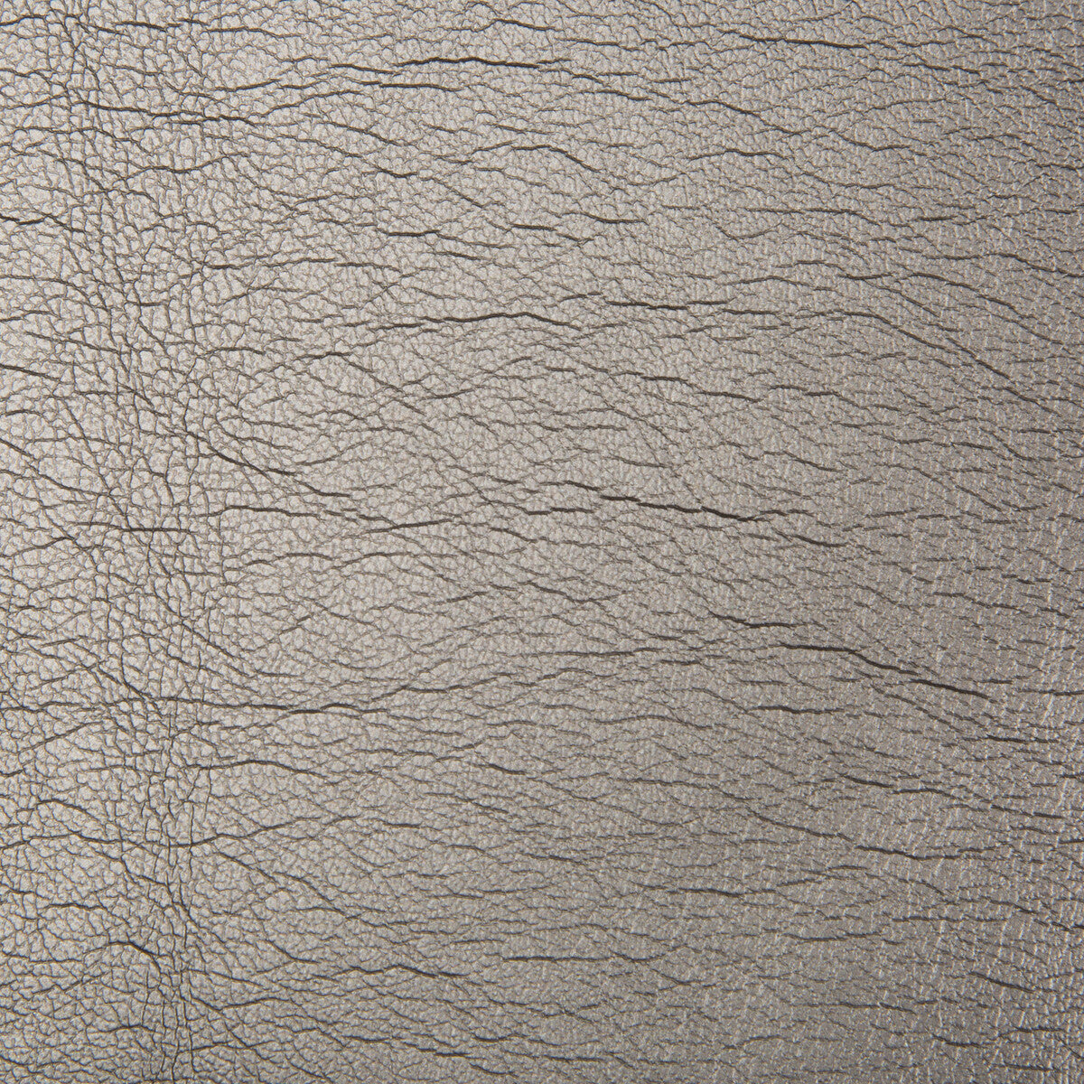 Maximo fabric in carbon color - pattern MAXIMO.21.0 - by Kravet Contract