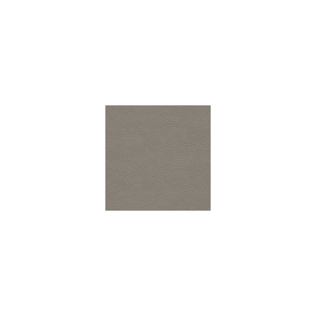 Metaliskin fabric in pewter color - pattern METALISKIN.11.0 - by Kravet Couture