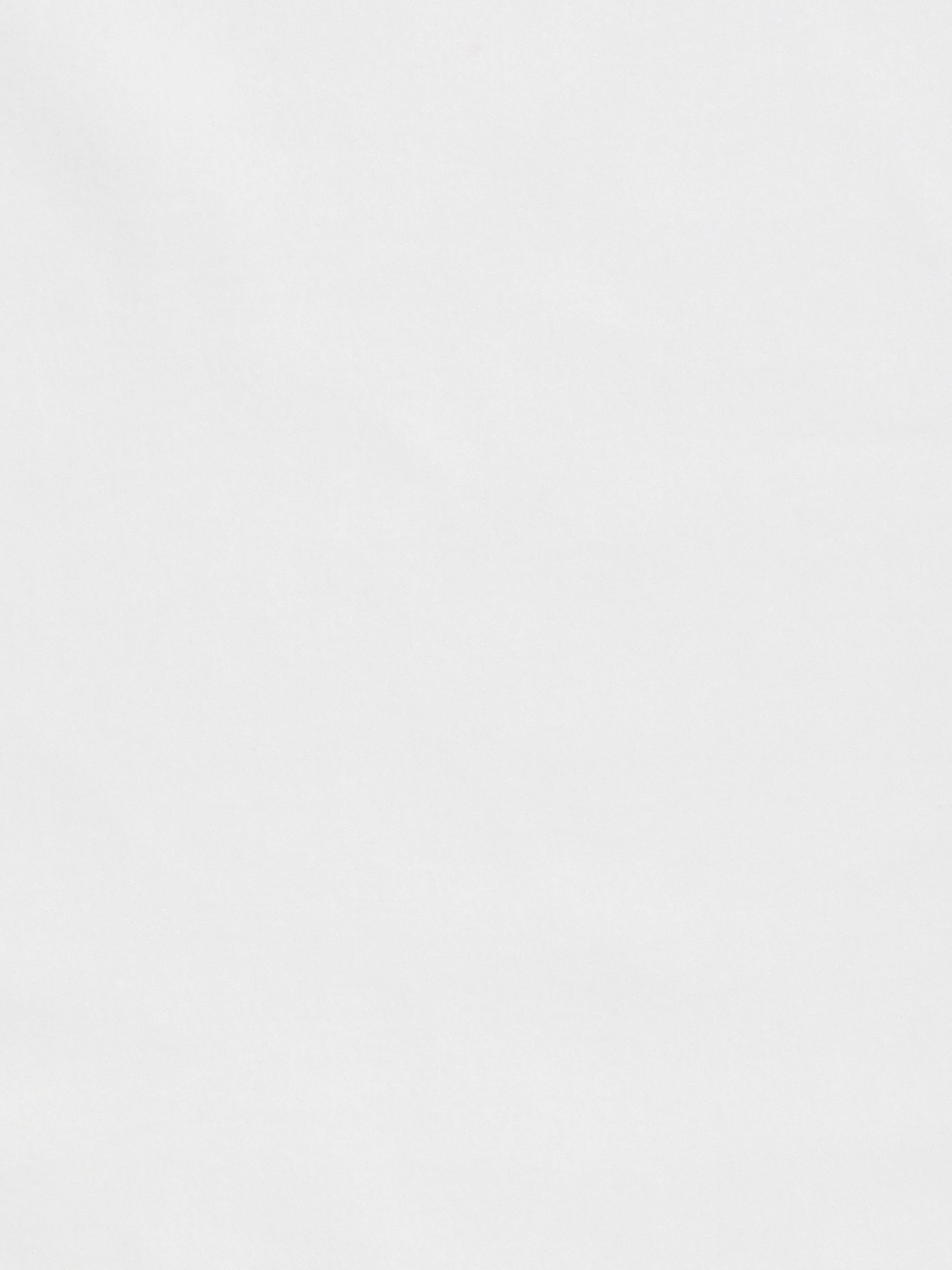 Bellamy fabric in white color - pattern number N2 0001BELL - by Scalamandre in the Old World Weavers collection