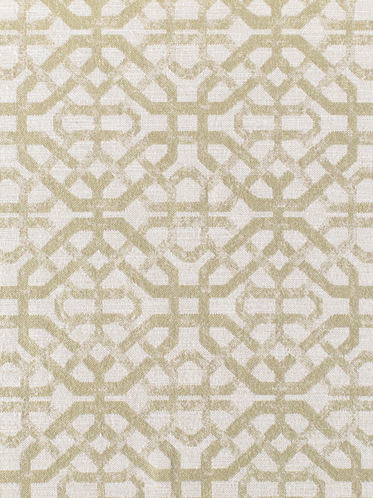 Porta Fregio fabric in leaf color - pattern number N3 00033133 - by Scalamandre in the Old World Weavers collection