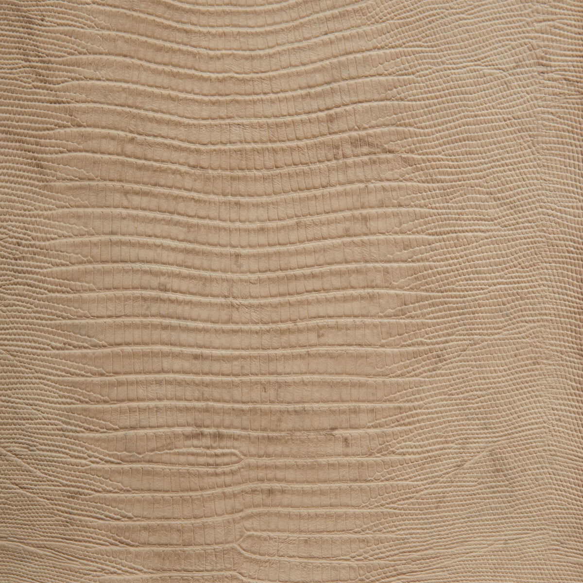 Kravet Design fabric in namaqua-16 color - pattern NAMAQUA.16.0 - by Kravet Design