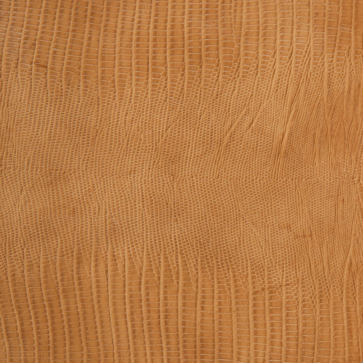 Kravet Design fabric in namaqua-616 color - pattern NAMAQUA.616.0 - by Kravet Design