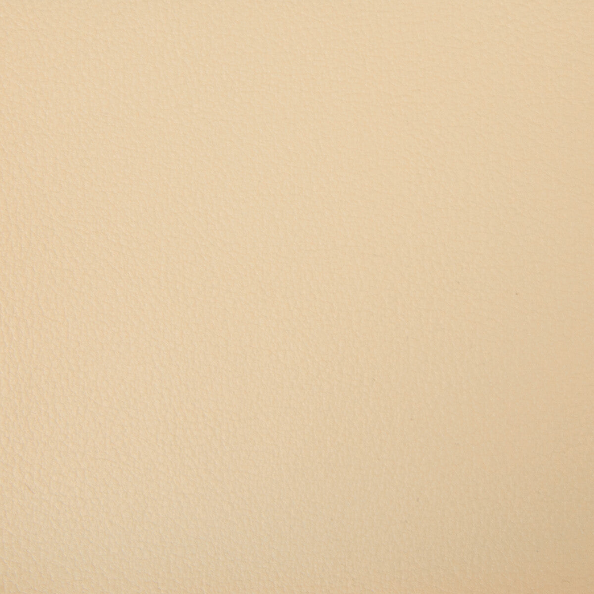 Kravet Smart fabric in newt-16 color - pattern NEWT.16.0 - by Kravet Smart