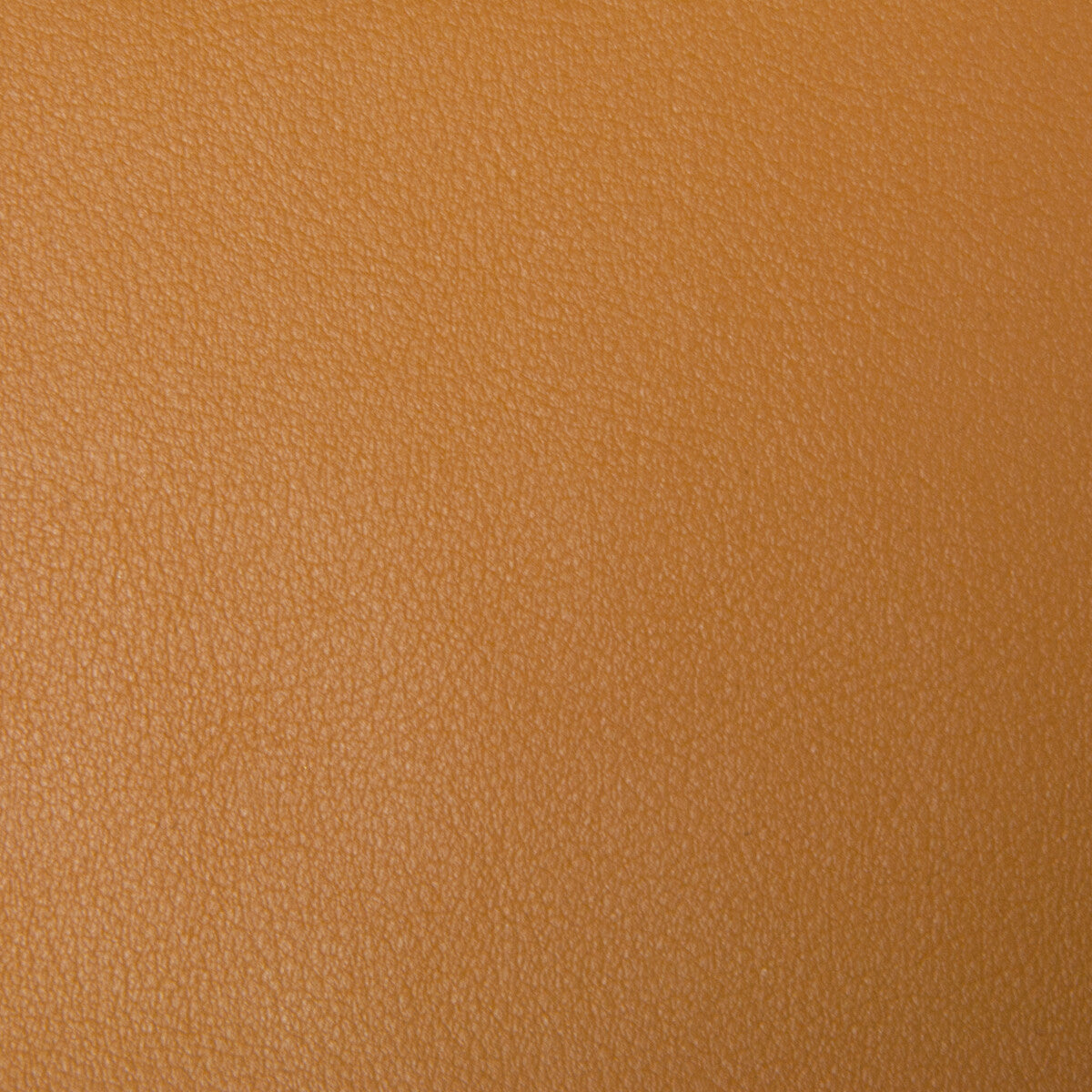 Kravet Smart fabric in newt-4 color - pattern NEWT.4.0 - by Kravet Smart