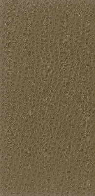 Kravet Basics fabric in nuostrich-106 color - pattern NUOSTRICH.106.0 - by Kravet Basics