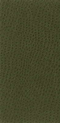 Kravet Basics fabric in nuostrich-30 color - pattern NUOSTRICH.30.0 - by Kravet Basics