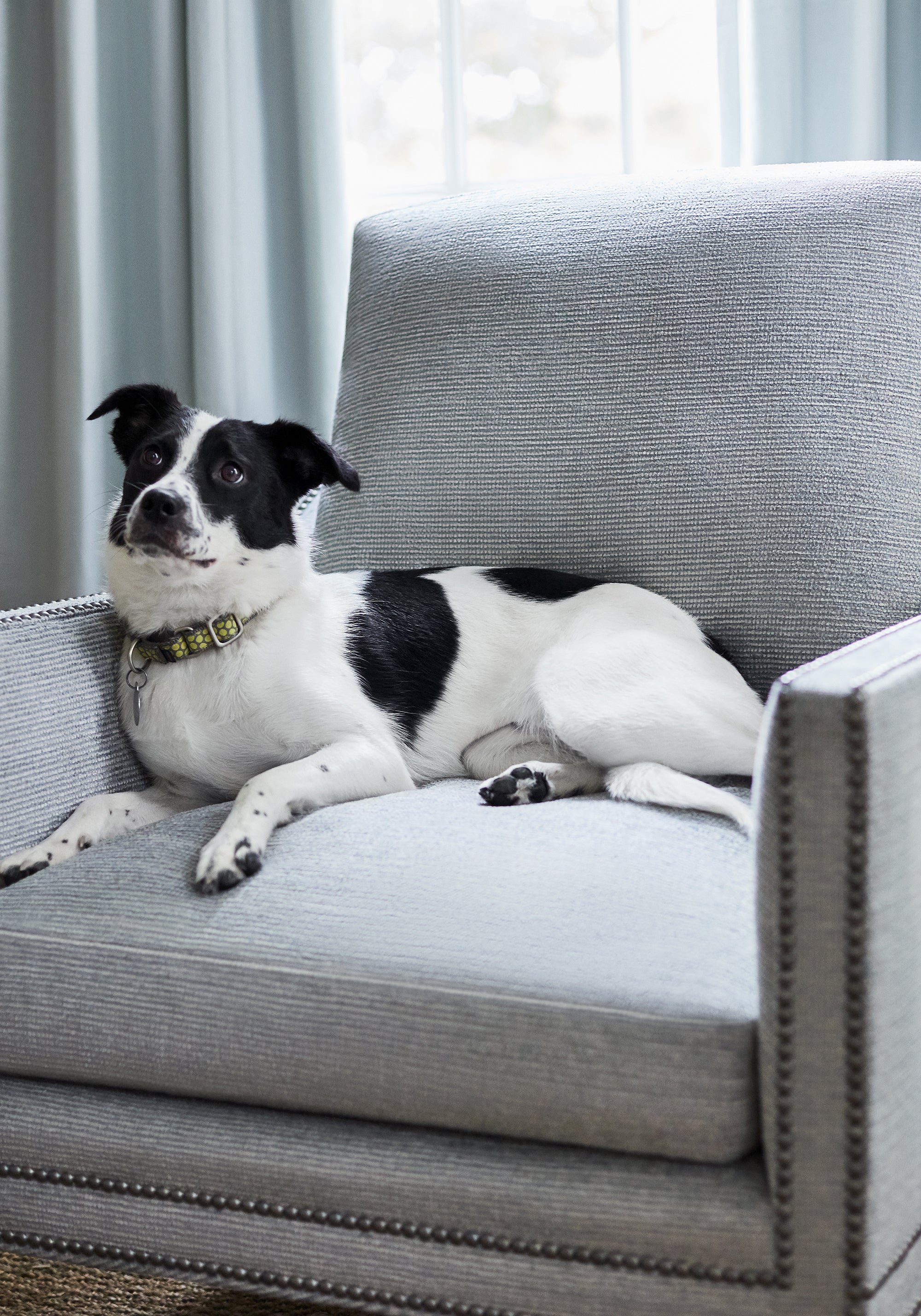 Stain resistant Westwood Chair in Milo woven fabric in seamist color - pet-resistant fabric - pattern number W73314 by Thibaut in the Nomad collection