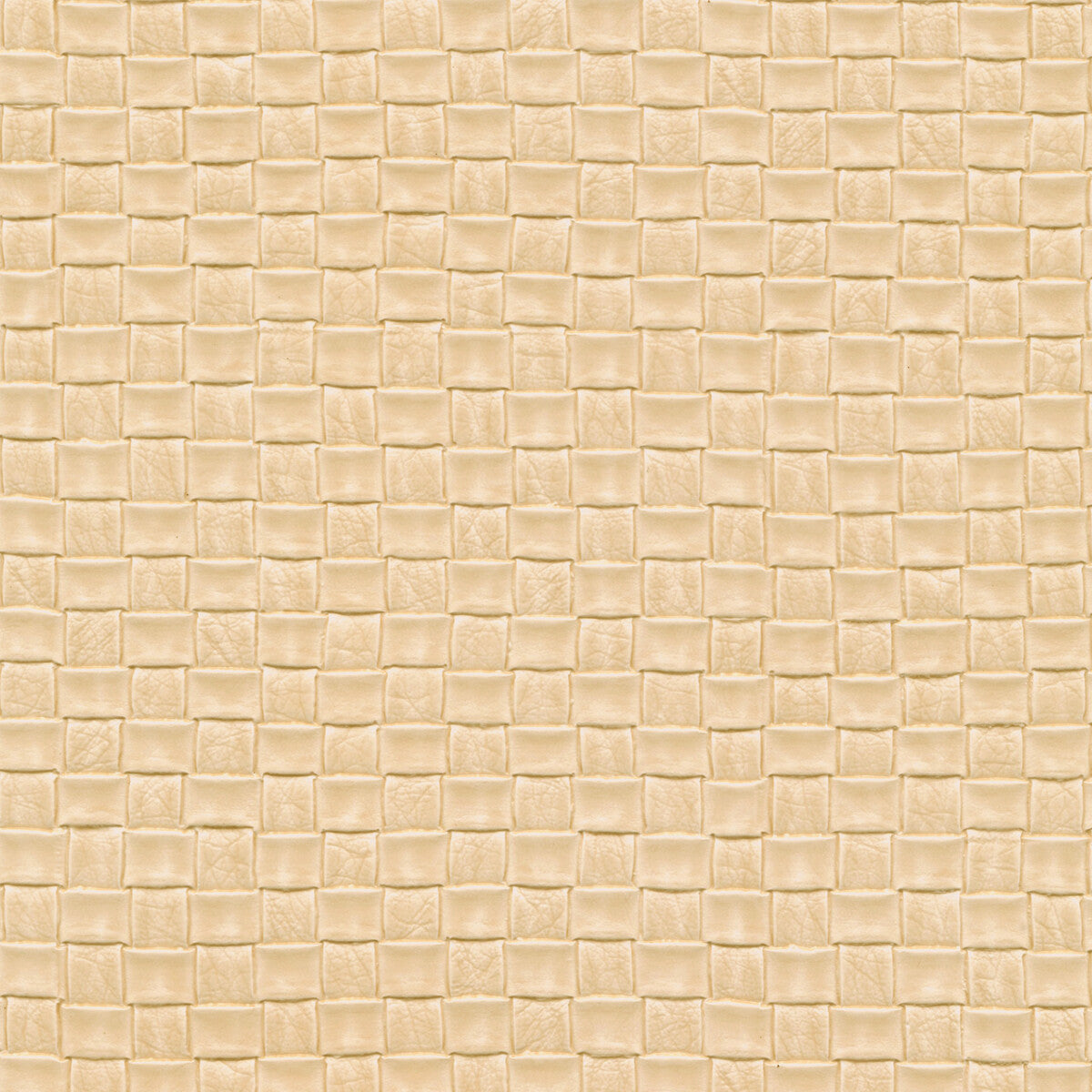 Olia fabric in olia-1101 color - pattern number OLIA.1101.0 - by Kravet Design in the Faux Leather IV collection