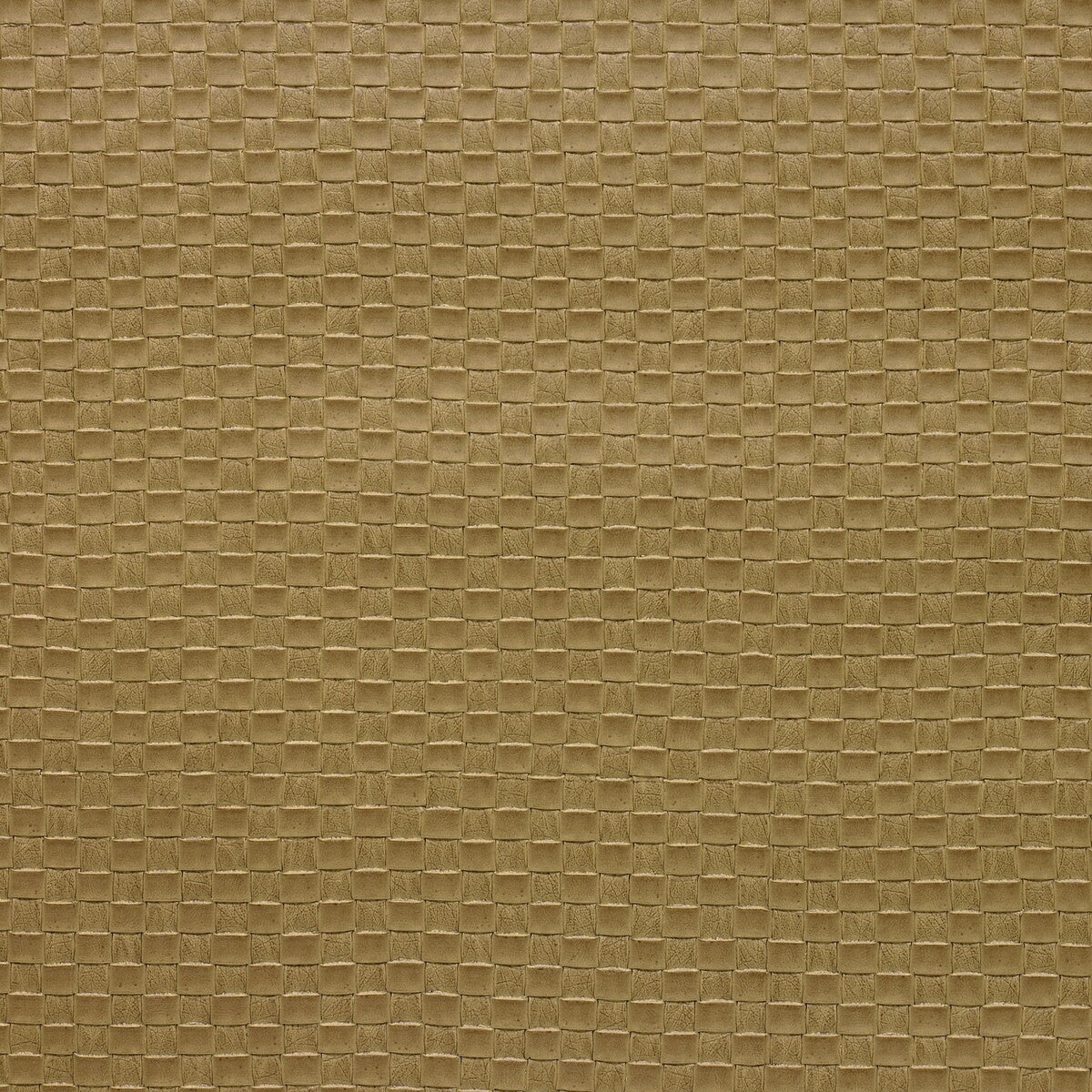 Kravet Design fabric in olia-16 color - pattern OLIA.16.0 - by Kravet Design