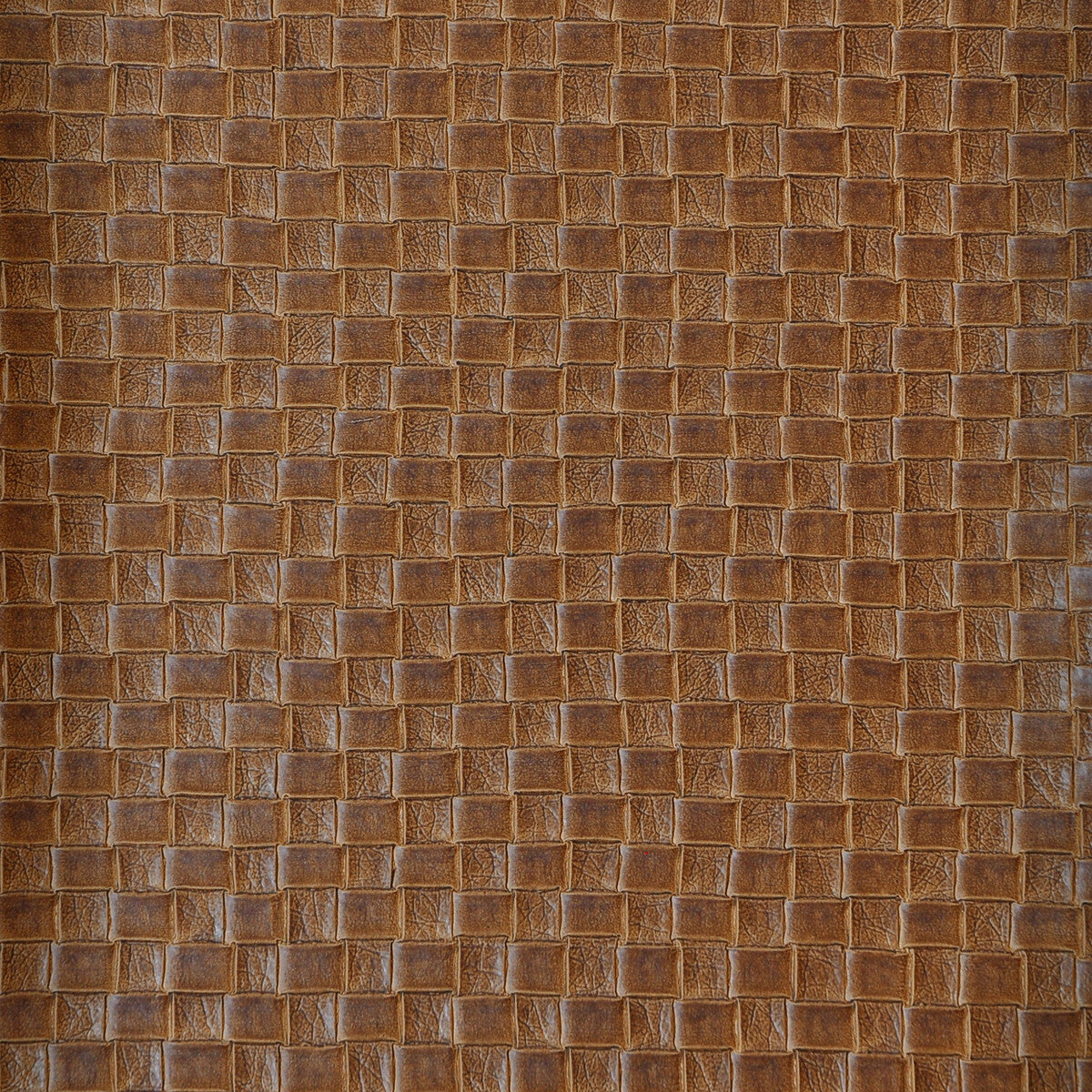 Kravet Design fabric in olia-606 color - pattern OLIA.606.0 - by Kravet Design