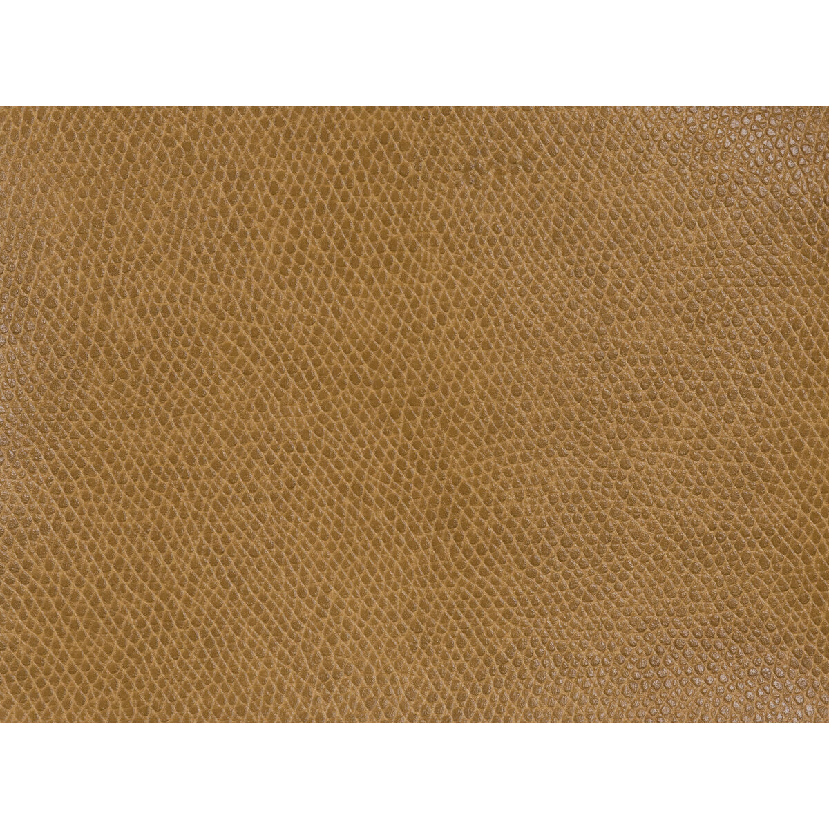 Ophidian fabric in cognac color - pattern OPHIDIAN.124.0 - by Kravet Contract in the Sta-Kleen collection
