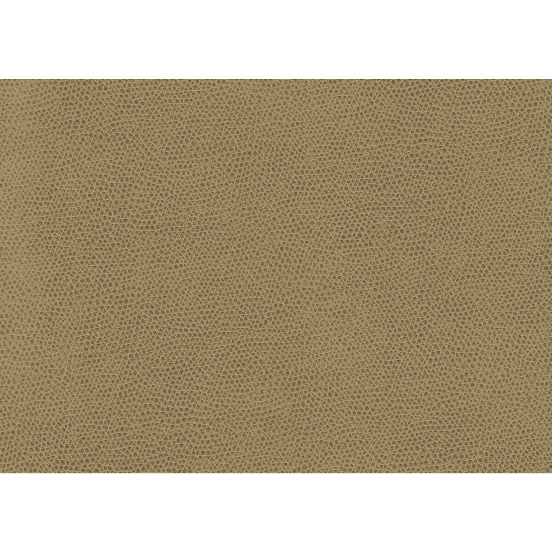 Ophidian fabric in wheat color - pattern OPHIDIAN.16.0 - by Kravet Contract in the Contract Sta-Kleen collection