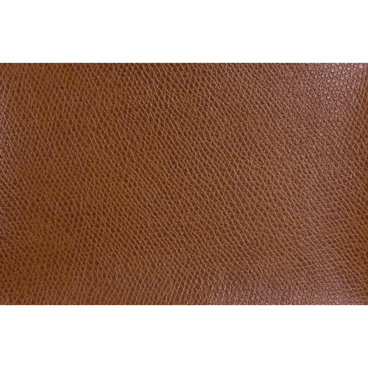 Ophidian fabric in saddle color - pattern OPHIDIAN.24.0 - by Kravet Contract in the Sta-Kleen collection