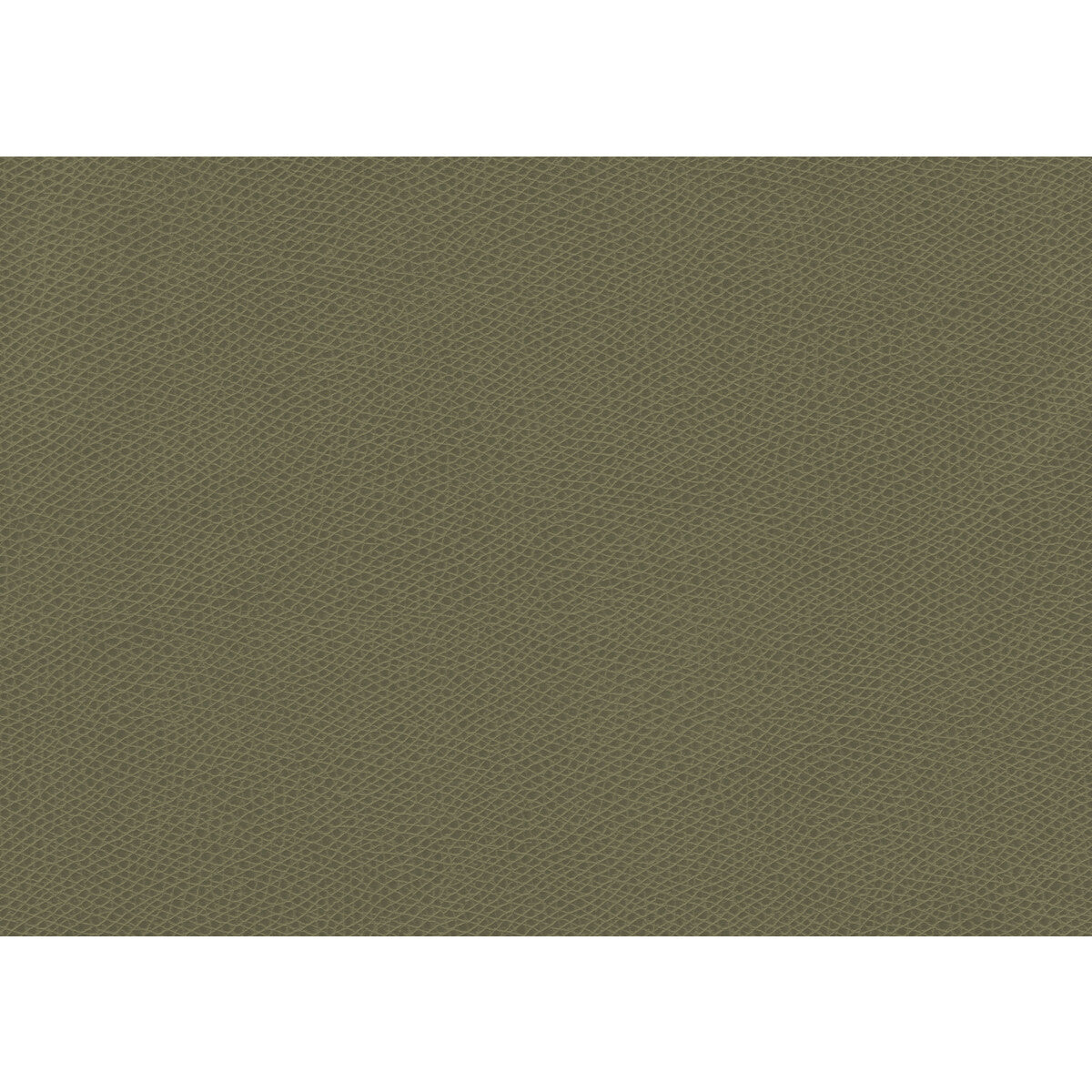 Ophidian fabric in sage color - pattern OPHIDIAN.3.0 - by Kravet Contract in the Contract Sta-Kleen collection