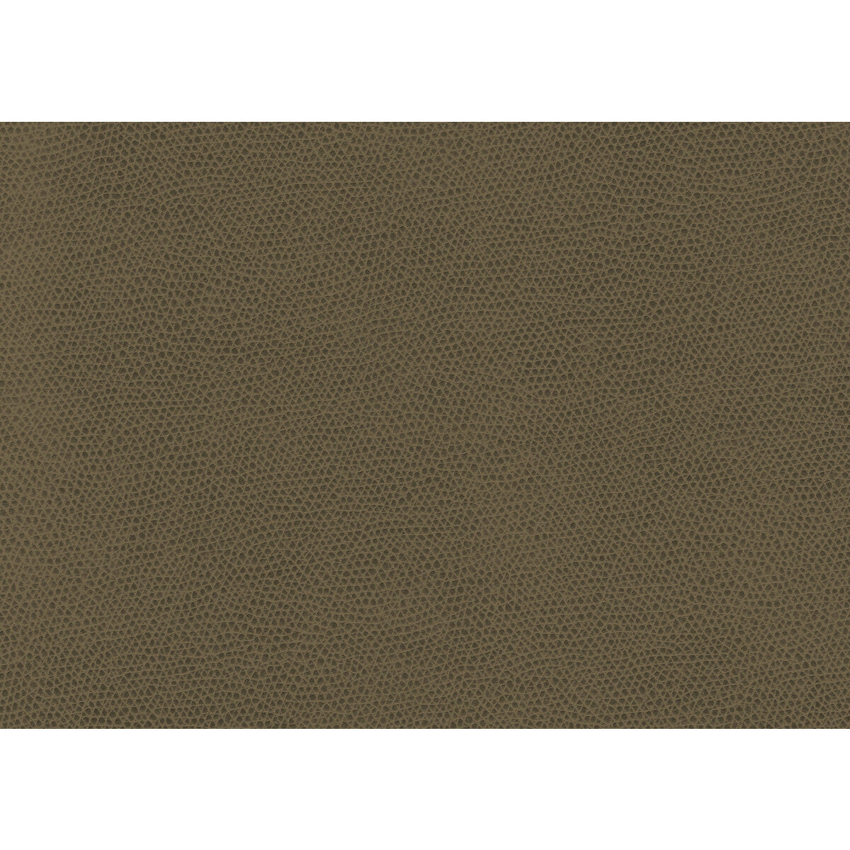 Ophidian fabric in bark color - pattern OPHIDIAN.606.0 - by Kravet Contract in the Contract Sta-Kleen collection
