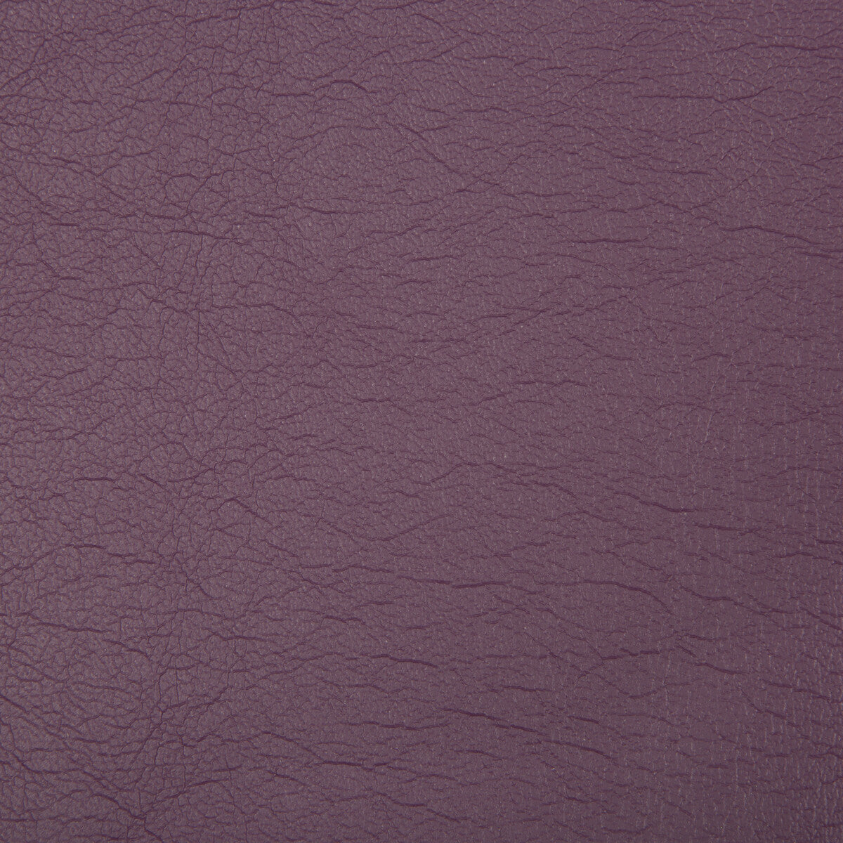 Optima fabric in jam color - pattern OPTIMA.10.0 - by Kravet Contract