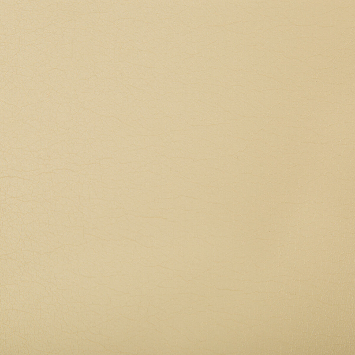 Optima fabric in cashew color - pattern OPTIMA.116.0 - by Kravet Contract