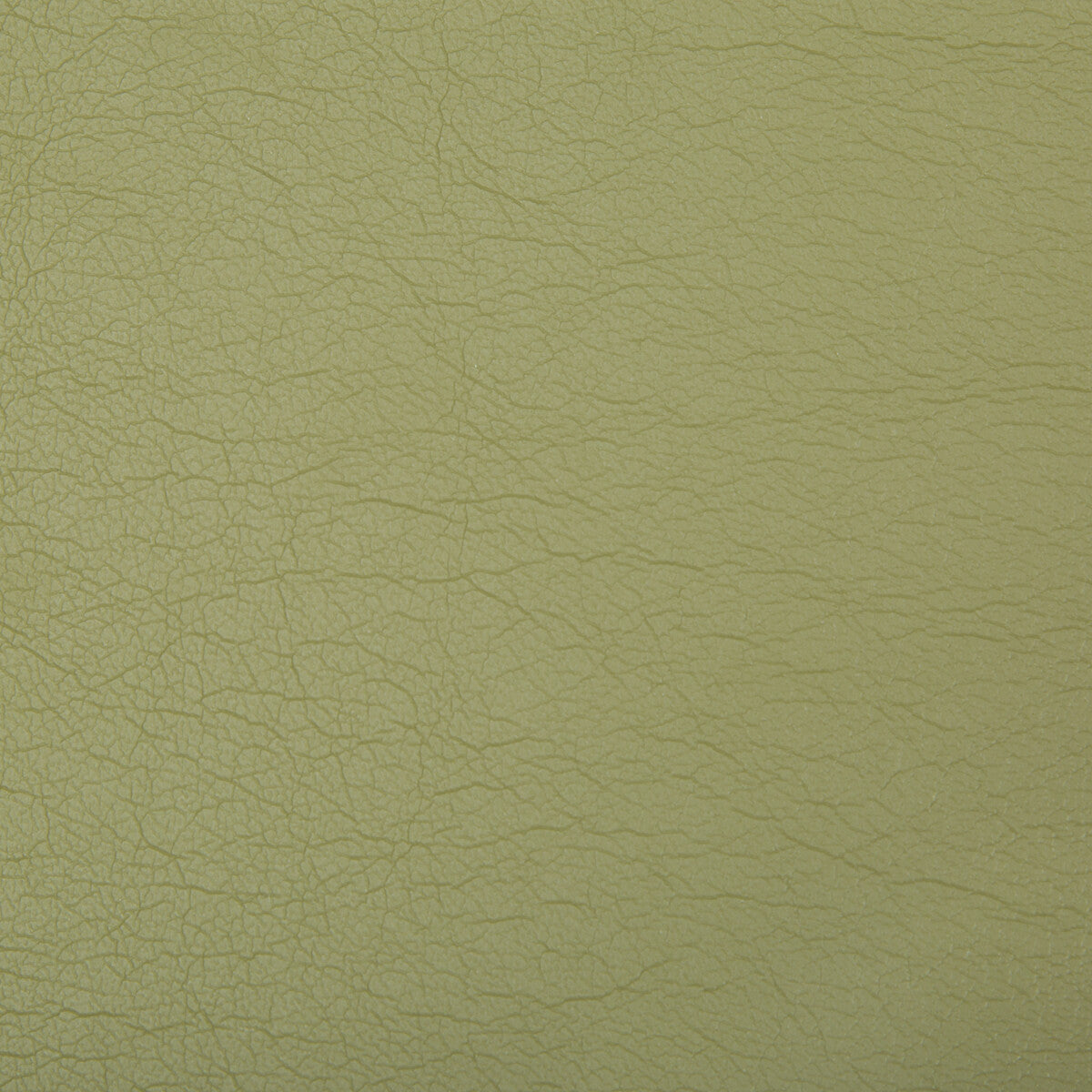 Optima fabric in green tea color - pattern OPTIMA.130.0 - by Kravet Contract