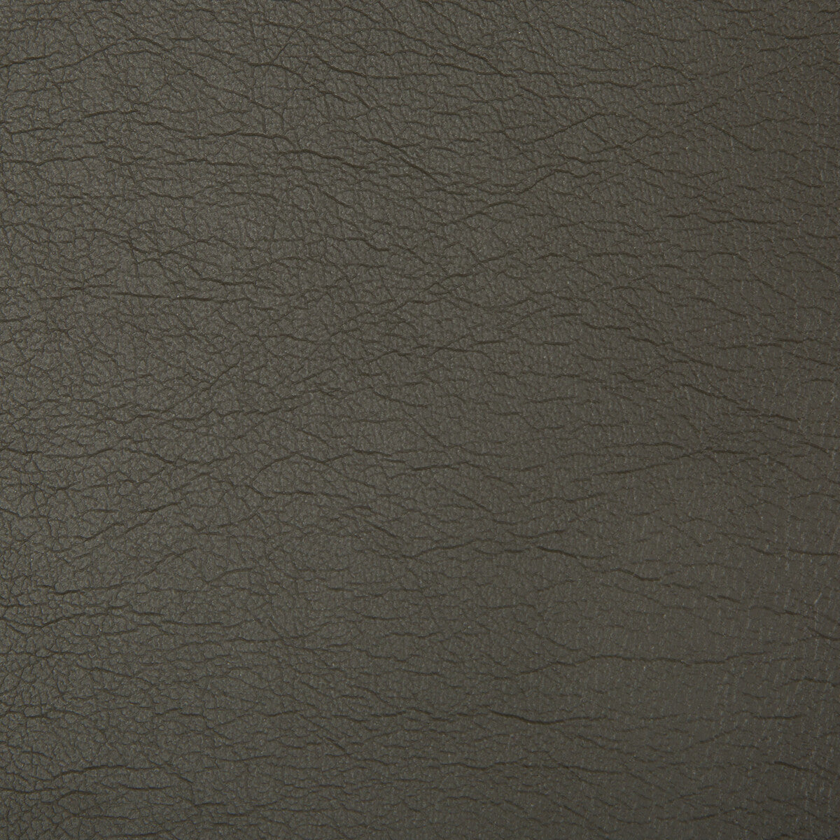 Optima fabric in bronco color - pattern OPTIMA.21.0 - by Kravet Contract