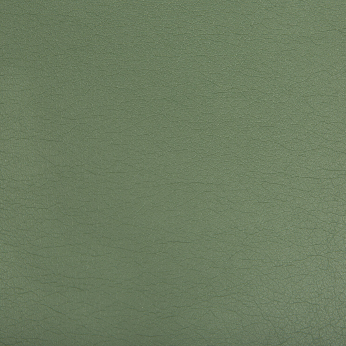 Optima fabric in jade color - pattern OPTIMA.3.0 - by Kravet Contract