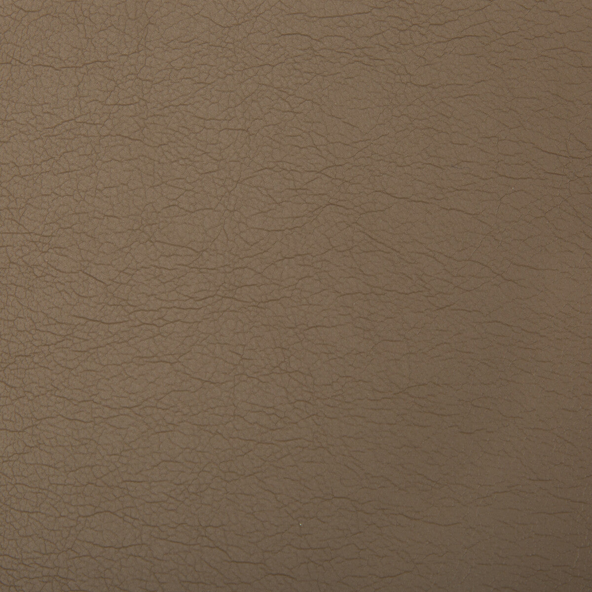Optima fabric in praline color - pattern OPTIMA.606.0 - by Kravet Contract